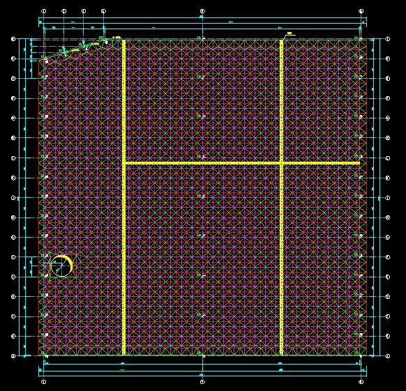 益阳东营金岭化工大王煤棚网架